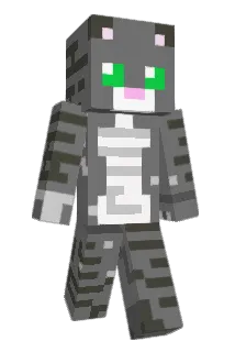 Cenn73 Minecraft avatar full body