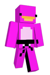 Cgull64 Minecraft avatar full body