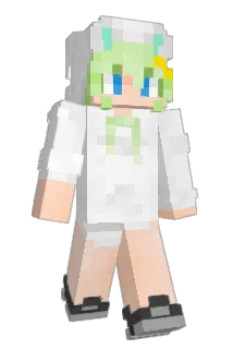 Chacter Minecraft avatar full body