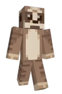 Chae_R1n Minecraft avatar full body