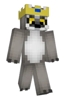 Chambers41 Minecraft avatar full body