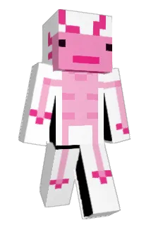 Chanene_yeye Minecraft avatar full body