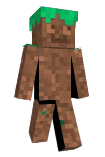 Chang999 Minecraft avatar full body