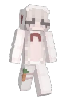 Chanmirelle Minecraft avatar full body