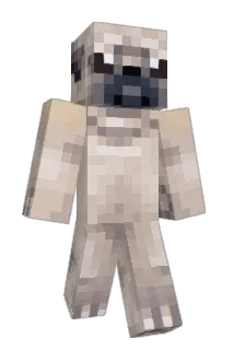 Chaos_Master_08 Minecraft avatar full body