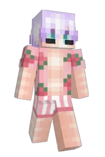 ChapeuSemPalha Minecraft avatar full body