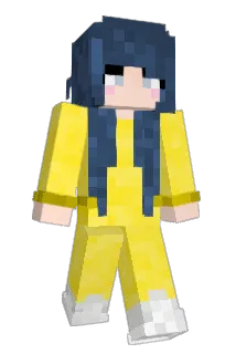 Chappy0601 Minecraft avatar full body
