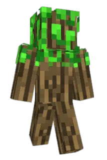 Charizard_ Minecraft avatar full body