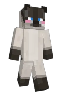 CharleePlays Minecraft avatar full body