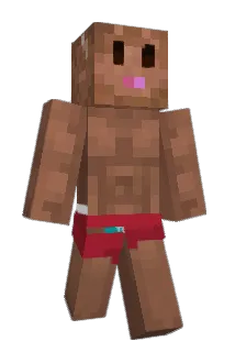 CharlieBee23 Minecraft avatar full body