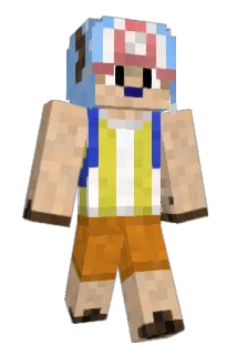 Charlolooo Minecraft avatar full body