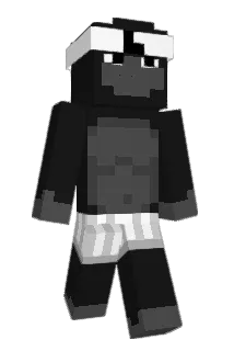 Charlyms Minecraft avatar full body