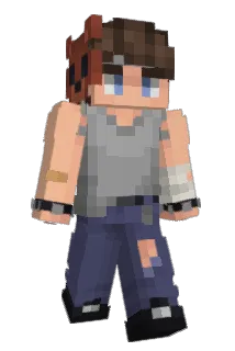 Charman110507 Minecraft avatar full body