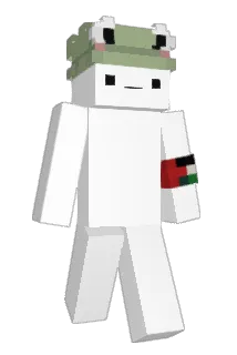 Chawink Minecraft avatar full body