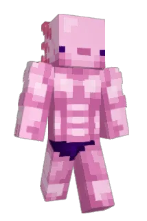 ChayoteBoy Minecraft avatar full body