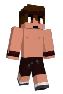 CheccaPocchia Minecraft avatar full body