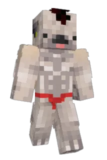 Chechal24 Minecraft avatar full body
