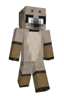 CheetahCode Minecraft avatar full body
