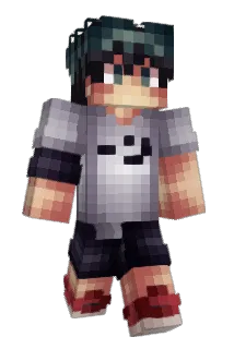 Cheks_ Minecraft avatar full body