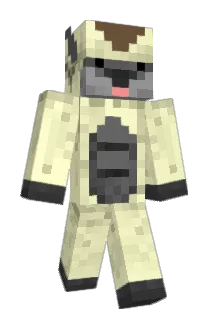 Chenise Minecraft avatar full body