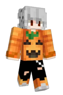 Minecraft-Avatar von Cherb89: ganzer Körper