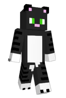 CherilynTPN Minecraft avatar full body