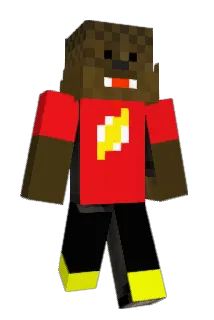 Chewbacca1907 Minecraft avatar full body