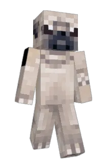 ChewbackkaDefe Minecraft avatar full body