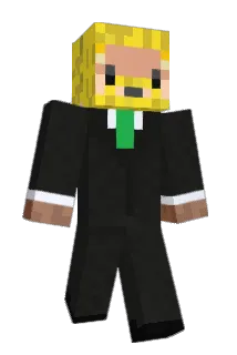 Chewbaka_ Minecraft avatar full body