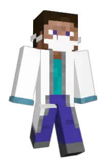 Chickenagges Minecraft avatar full body