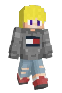 ChickenmitReis Minecraft avatar full body