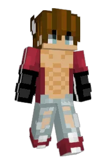 Chickhenslayer Minecraft avatar full body