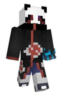 Chintz_ Minecraft avatar full body