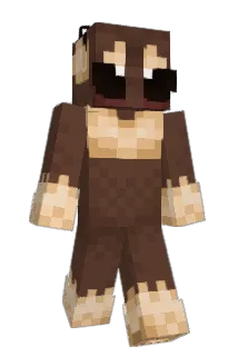 Chiptune_Weevil Minecraft avatar full body