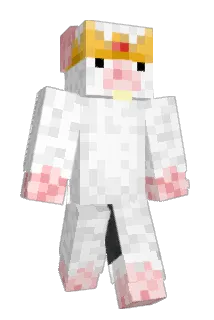 ChirpCity Minecraft avatar full body