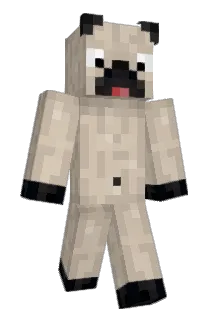 Chknsoup Minecraft avatar full body