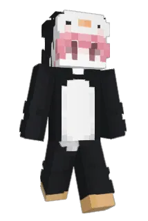 Choate11 Minecraft avatar full body
