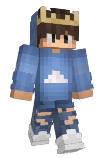 Chocobo4512 Minecraft avatar full body