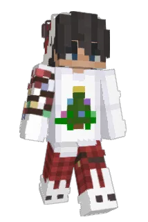 Chookity Minecraft avatar full body