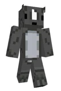 Chosselaar25 Minecraft avatar full body