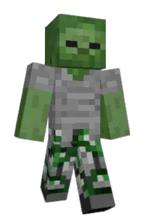 Chots Minecraft avatar full body