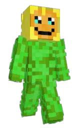 Custom render preview