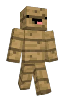 ChrisF011 Minecraft avatar full body