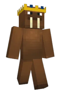 ChrisareSad Minecraft avatar full body
