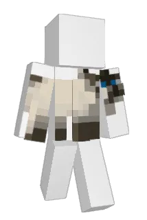 Chubbbs11 Minecraft avatar full body