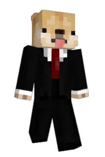 Chucknouis8260 Minecraft avatar full body