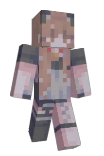 Chundo333 Minecraft avatar full body