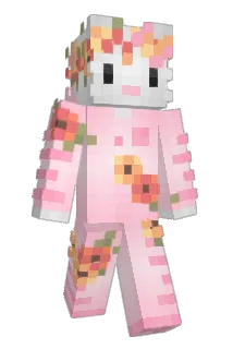 Ciachoz Minecraft avatar full body