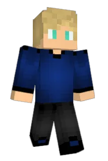 Ciocapon Minecraft avatar full body