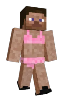 Ciocetto Minecraft avatar full body